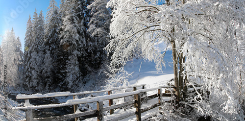 Verschneite Waldlandschaft mit Bach, Österreich, Europa, Panorama 