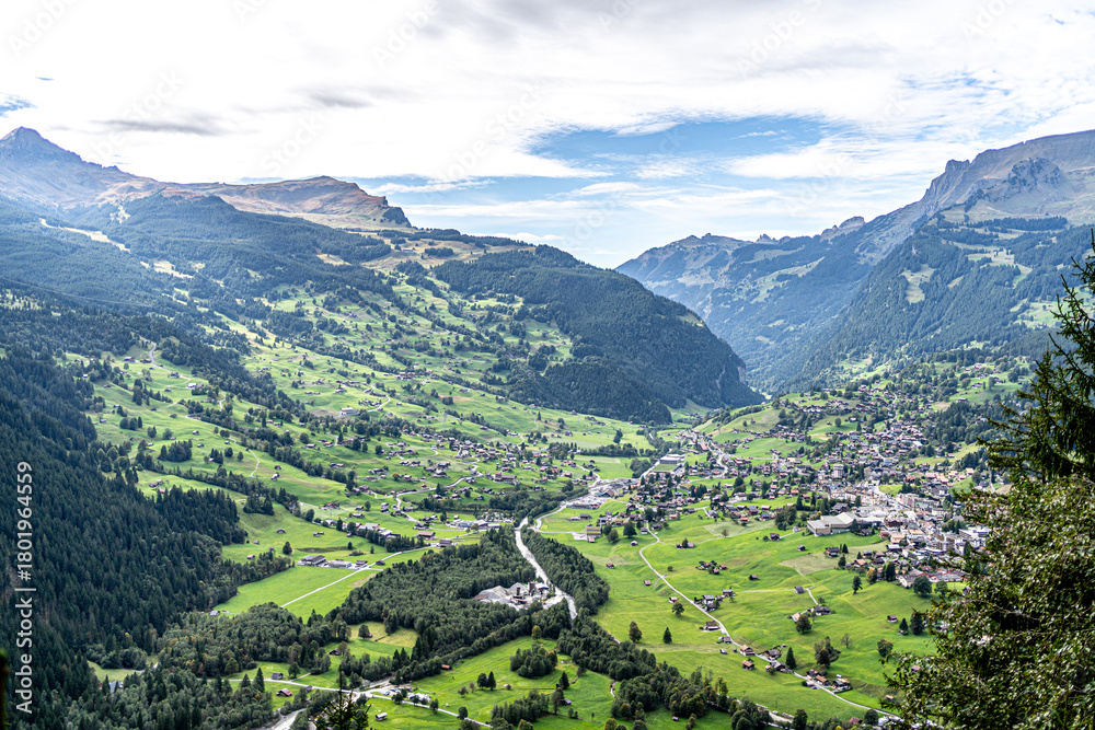 Fototapeta premium swiss alps landscape