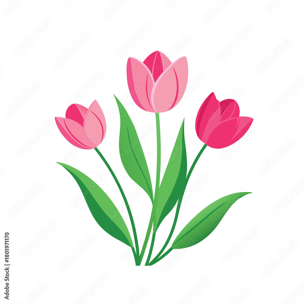 custom made wallpaper toronto digitalpink tulips isolated on white