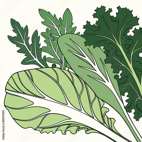 Fresh assortment of leafy greens, perfect for a healthy diet