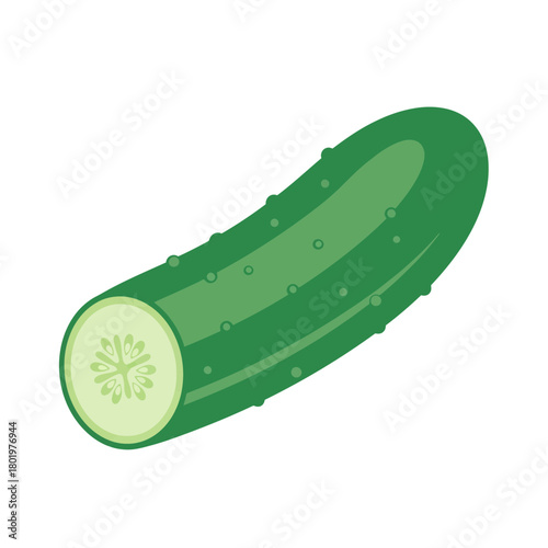 Perfectly Round Cucumber Slice Illustration Isolated on White for Food and Health Design