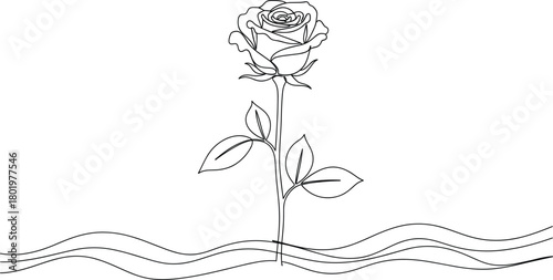 Elegant Single Rose with Stem and Leaves in Continuous Line Art Style, Perfect for Minimalist Floral Designs and Romantic Concepts.