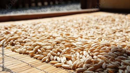 foolishness. Barley grains drying on a mat under soft, natural sunlight. menu design, packaging mockups, designed for culinary blogs and recipe cards for restaurants, used by account managers.