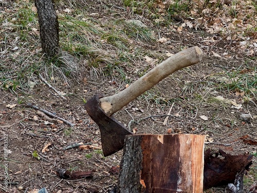 Axe stuck in a tree stump