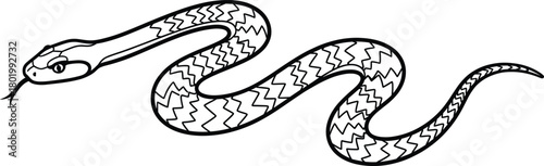 Detailed snake outline illustration, stylized reptile vector design with zigzag body patterns, smooth curved shape, perfect for logos, education materials, tattoos, and creative artwork
