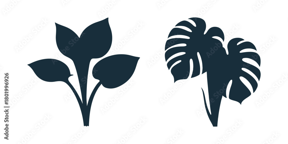 Fototapeta premium Stylized plant icons hosta and monstera leaf design elements