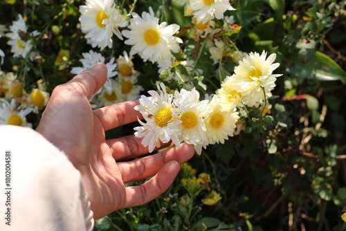 A flower captures light with effortless grace. Its petals form natural textures and layers, creating depth and contrast that shift with every angle. Even the slightest breeze shapes its silhouette, tu
