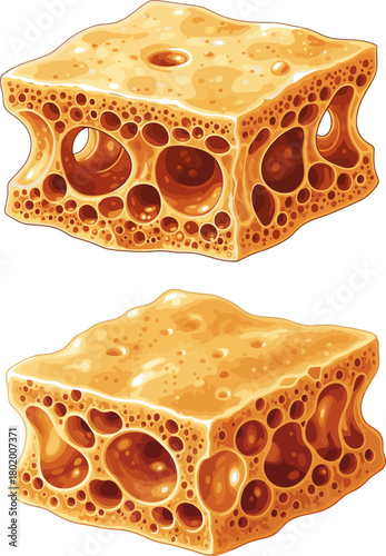 Honeycomb Candy Vector Illustration Golden Sweet Brittle Dessert