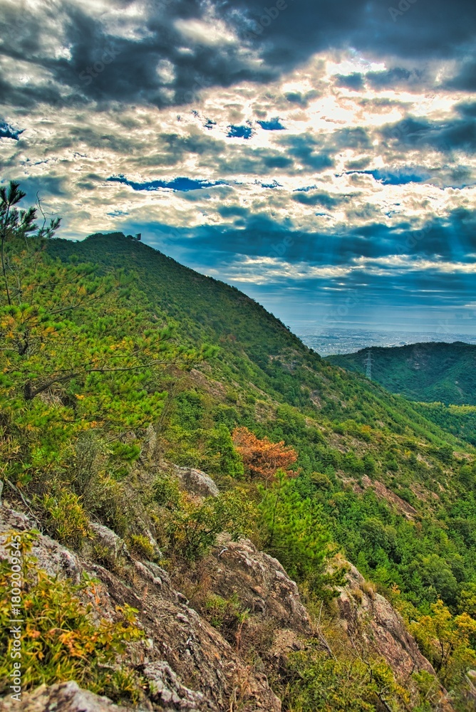 Fototapeta premium 高御位山
