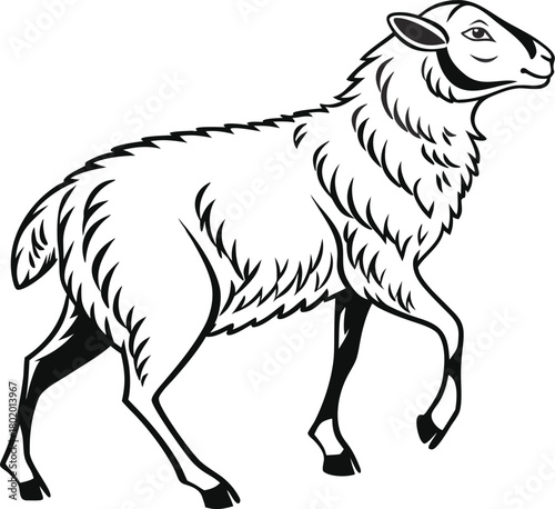 black vector illustration of a sheep