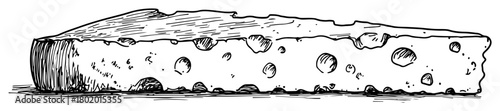 cheese wedge piece with holes vector sketch fine lines in ink engraving style
