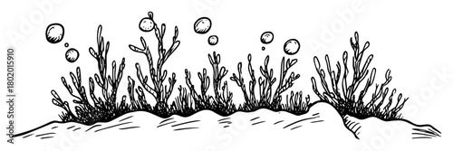 underwater coral reef with bubbles hand drawn doodle sketch vector black shape