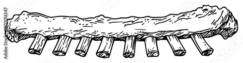 barbecue pork ribs illustration doodle sketch vector black shape