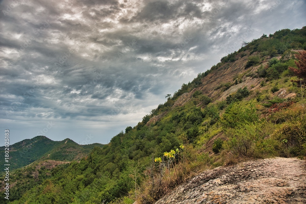 Naklejka premium 高御位山