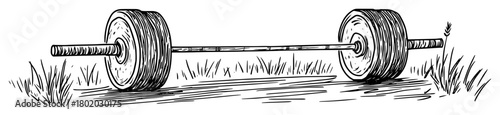 barbell with weights on grass sketch