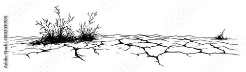 dry cracked earth with weeds sketch