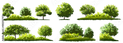  Vector watercolor green  tree or forest side view isolated on white background for landscape and architecture drawing,elements for environment or and garden,Shrub for section