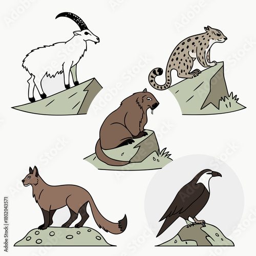 A collection of mountain animals isolated on, including a goat, snow leopard, wolverine, eagle, and a bear on rocks