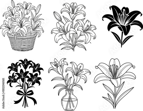 Elegant Floral Arrangements and Single Lily Illustrations for Diverse Design Applications