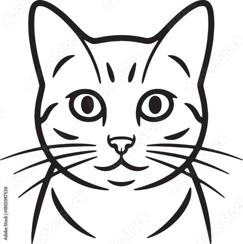 Black and white line drawing of a cats face with wide eyes and whiskers isolated on white background