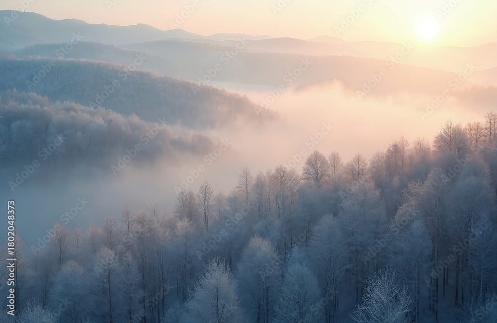 Naklejka premium Frozen forest landscape in morning fog. Bare trees covered in frost under pastel sunrise sky. Hazy hills fade into distance, creating calm atmospheric winter scene.