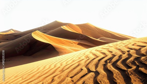 Fototapeta Naklejka Na Ścianę i Meble -  Expansive desert landscape featuring undulating sand dunes with intricate ripple patterns, illuminated by warm sunlight.