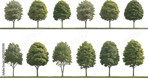 Collection of green landscape park trees illustration, deciduous foliage, nature vegetation clipart, forest garden plants, outdoor environment design