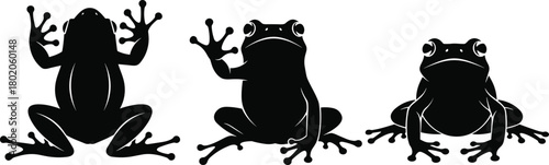 Frog silhouette vector set, cute amphibian wildlife illustration for nature education, rainforest biology, animal cartoon character and kids design