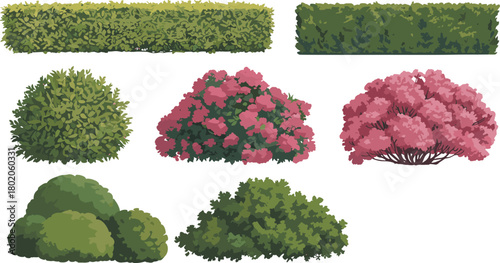 Garden bushes and shrubs illustration set, green hedges and flowering plants, landscape design elements, decorative garden foliage graphics