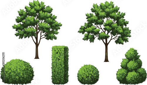 Green trees and garden bushes illustration set, landscape foliage plants collection, outdoor park nature greenery, decorative botanical design elements