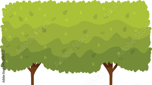 Lush green rectangular hedge growing between two small trees, creating a natural barrier and adding privacy to a garden or park