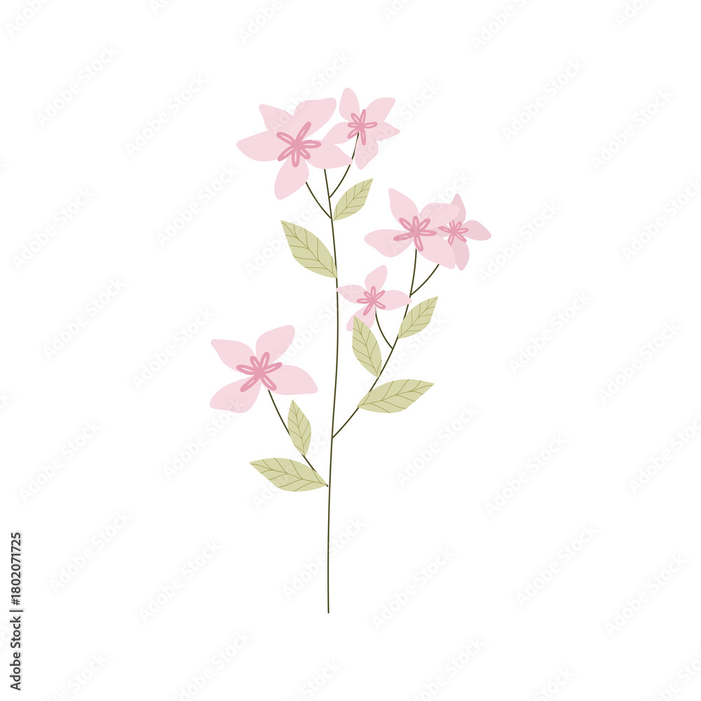 Obraz premium Illustration of Pink Flowers in a Minimalist Botanical Bouquet, spring delicate flower in flat style.