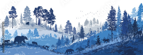 青いトーンで描かれた、子連れのクマの群れが霧深い針葉樹林の丘を歩く様子のベクターイラストレーション。