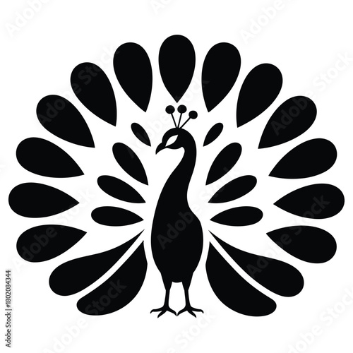 Silhouette of a peacock with its tail feathers spread wide in a majestic display on white background