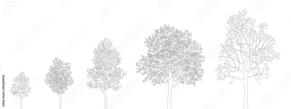 Obraz CAD tree linework, side view trees for landscape design, precise vector symbols ideal for architectural drafting, garden planning, urban projects and high-quality landscape presentation graphics.