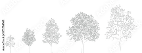 CAD tree linework, side view trees for landscape design, precise vector symbols ideal for architectural drafting, garden planning, urban projects and high-quality landscape presentation graphics.