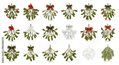 Collection of mistletoe sprigs with various bows isolated on