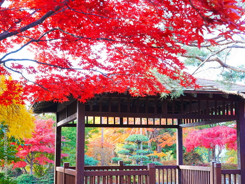 北海道の絶景 平岡樹芸センター 和風庭園