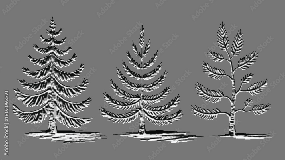 Obraz premium Architectural drawings minimal style cad tree line drawing set of green fir trees isolated on white background, detailed outline symbols for landscape design, christmas decoration graphics