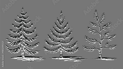 Architectural drawings minimal style cad tree line drawing set of green fir trees isolated on white background, detailed outline symbols for landscape design, christmas decoration graphics