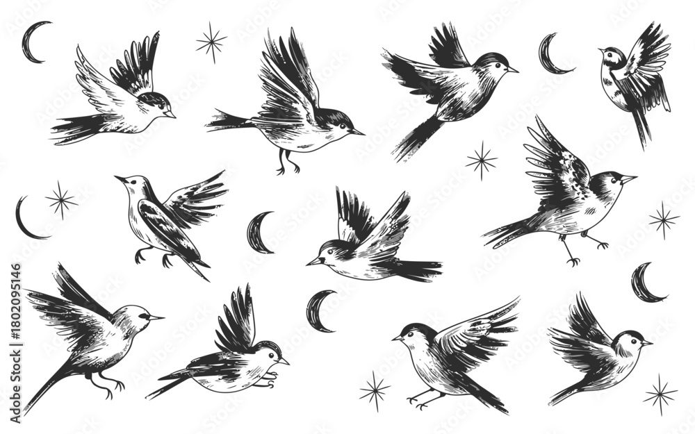 Obraz premium Hand-Drawn Flying Birds Pattern with Stars and Crescent Moons – Black and White Vintage Illustration.