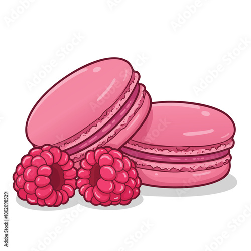 Pink macarons paired with fresh raspberries create a delightful dessert illustration perfect for culinary designs and sweet treat promotions .