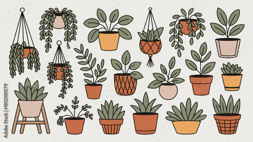 Collection of potted plants vector illustration in flat design decorative houseplants for interior design and home decor