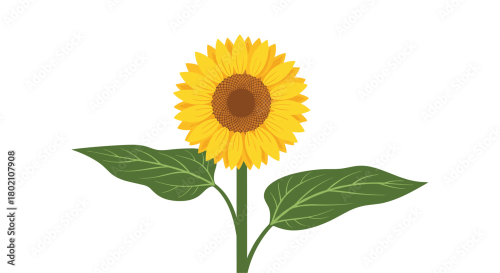 Obraz premium A vibrant illustration of a single sunflower with bright yellow petals and green leaves against a clean white background, showcasing natural beauty.
