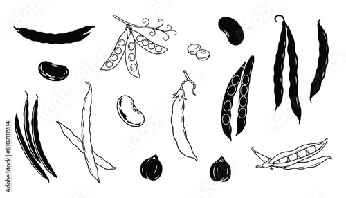 Various types of beans and peas in black and white line art style