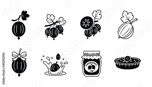Illustrations of gooseberries in various forms and preparations black