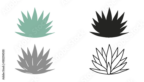 Four agave plant illustrations in color, grayscale, silhouette, line
