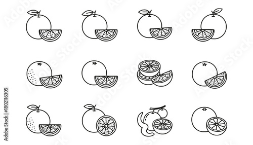 Various line drawings of oranges and orange slices on a white background