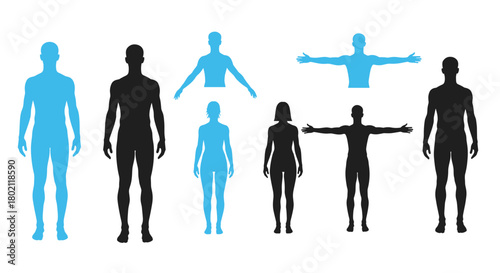 Diverse human silhouettes representing people of different genders and body types in various poses, ideal for illustrating concepts of identity and inclusivity.