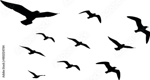 Flock of black silhouette seagulls flying in a clear white sky